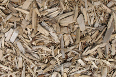 biomass boilers Trefil